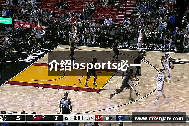介绍bsports必一